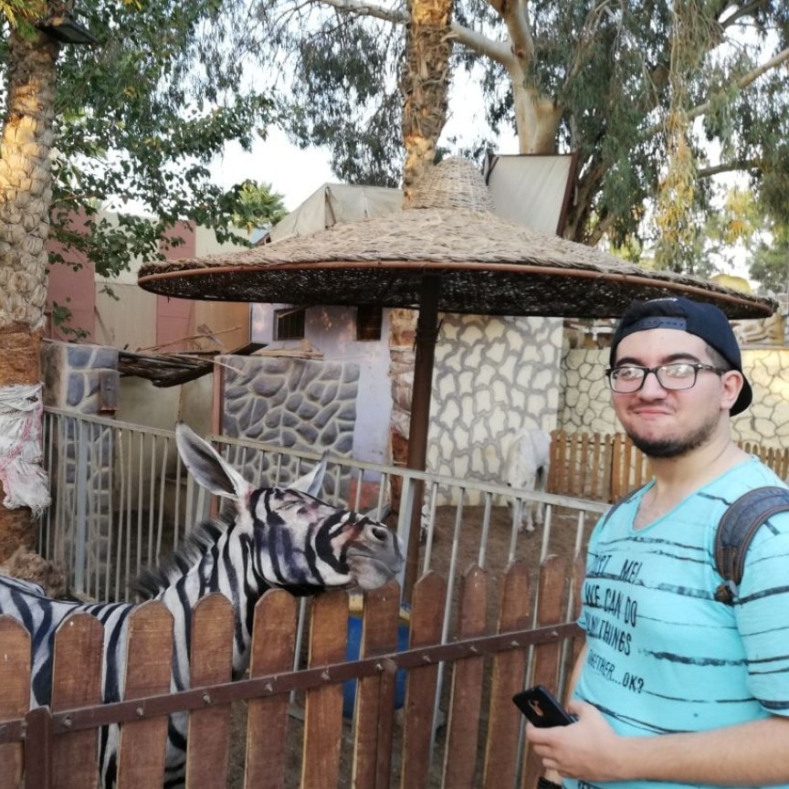 Ein Esel in einem ägyptischen Zoo